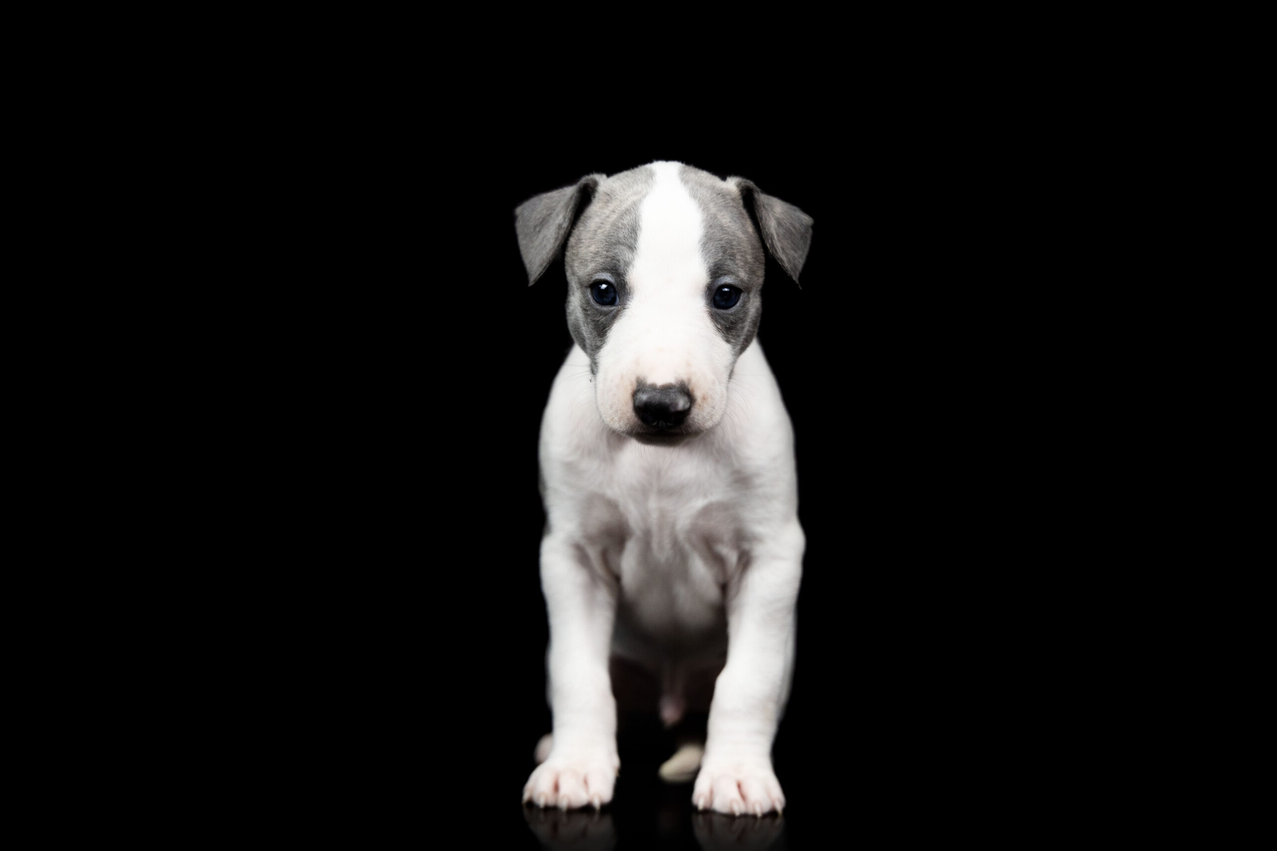 LUCY9402 kopie