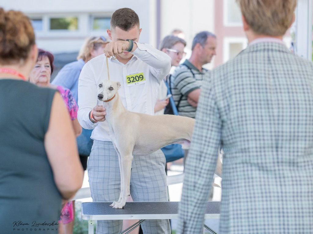 DSC_8666 kopie